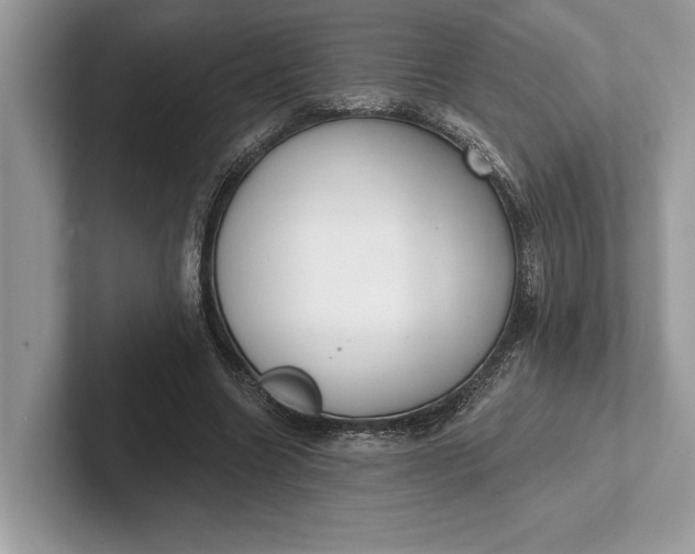 X0000101420538200807211131