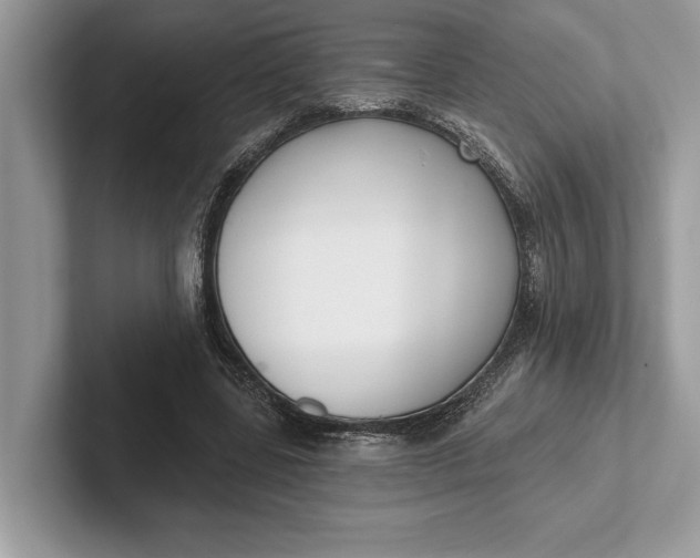 X0000101420539200807211131