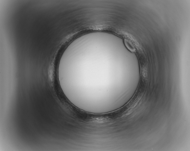 X0000101420540200807211131