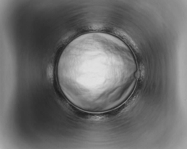 X0000101420542200807211131