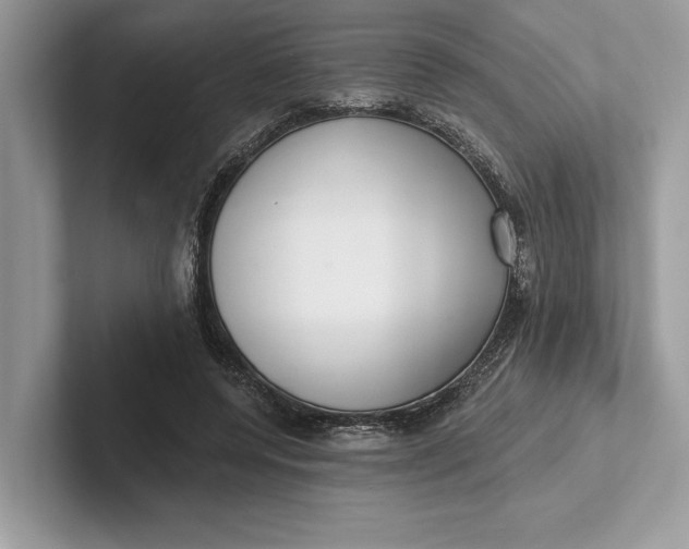X0000101420544200807211131