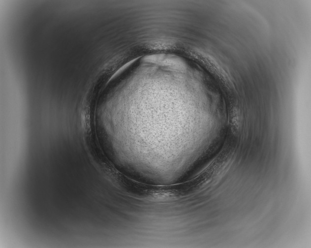 X0000101420547200807211131