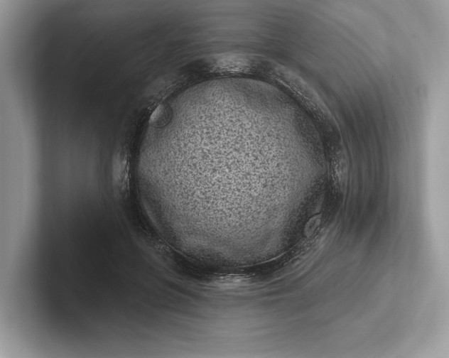 X0000101420551200807211131