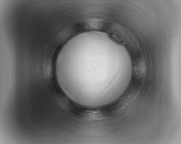 X0000101420552200807211131