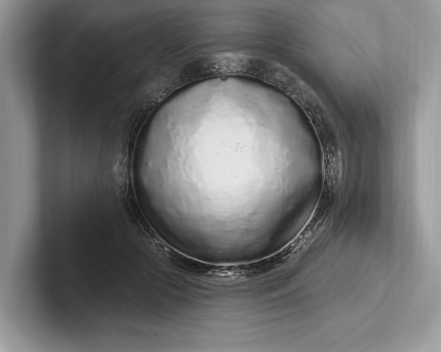 X0000101420553200807211131