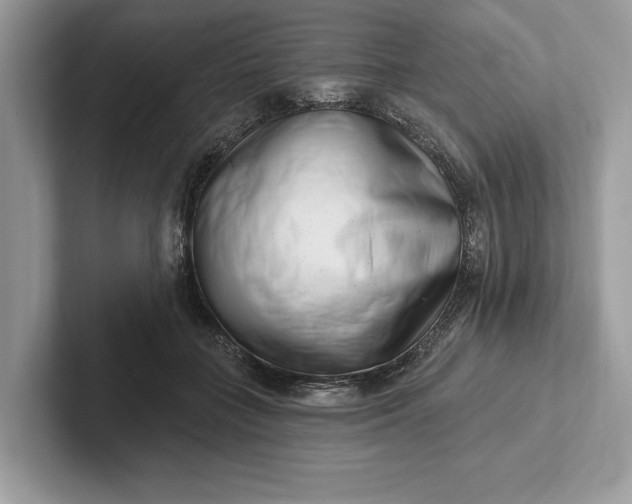 X0000101420555200807211131