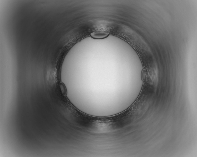 X0000101420556200807211131