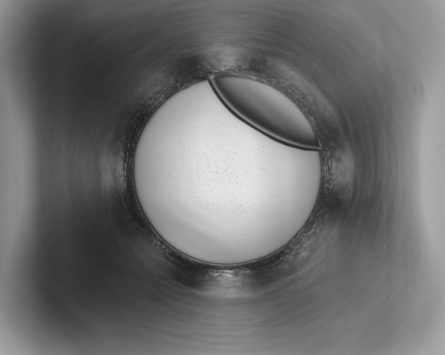 X0000101420558200807211131