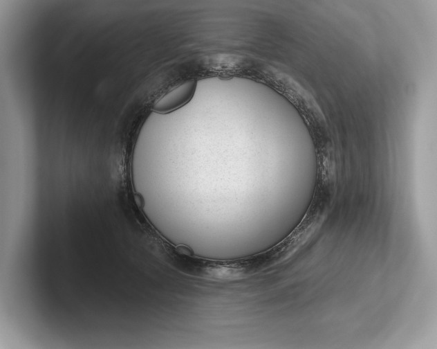 X0000101420561200807211131