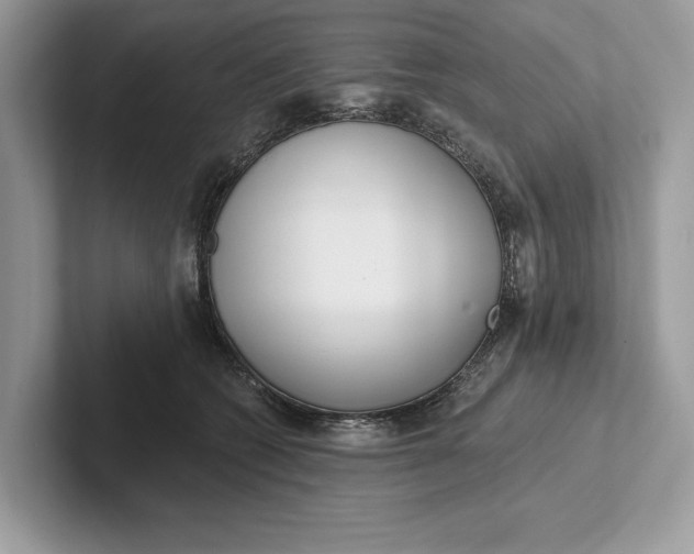 X0000101420562200807211131