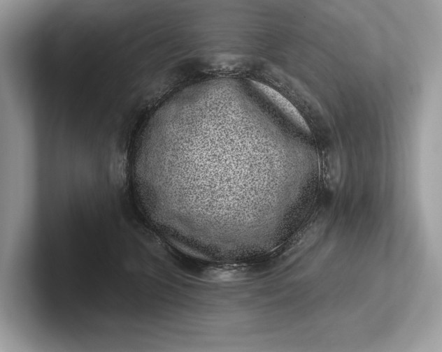 X0000101420563200807211131