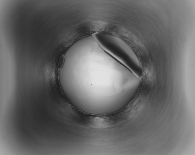 X0000101420566200807211131