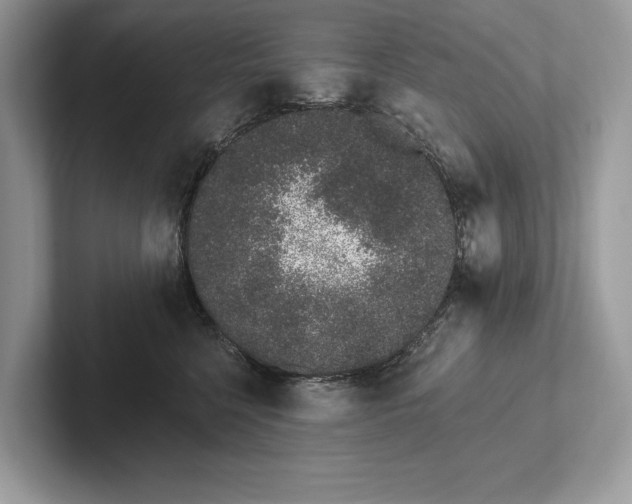 X0000101420568200807211131