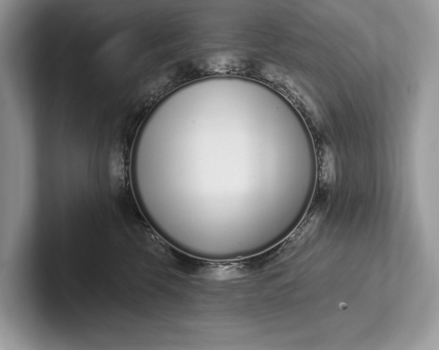 X0000101420569200807211131