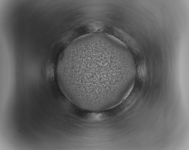 X0000101420570200807211131