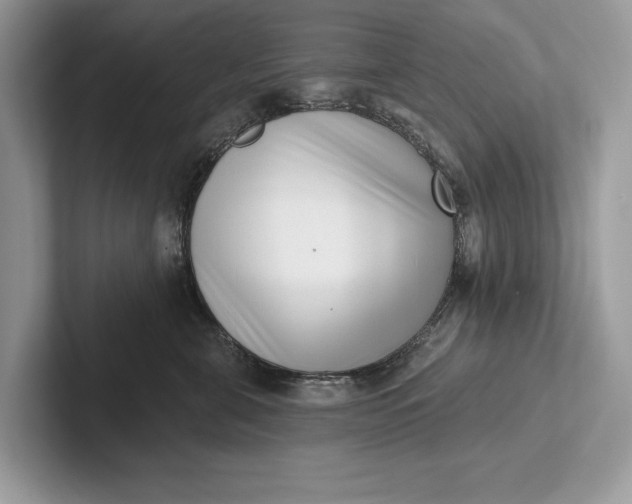 X0000101420571200807211131