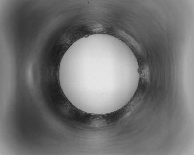 X0000101420572200807211131