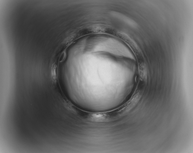 X0000101420573200807211131