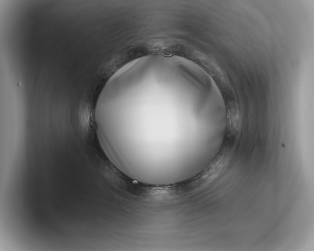 X0000101420574200807211131