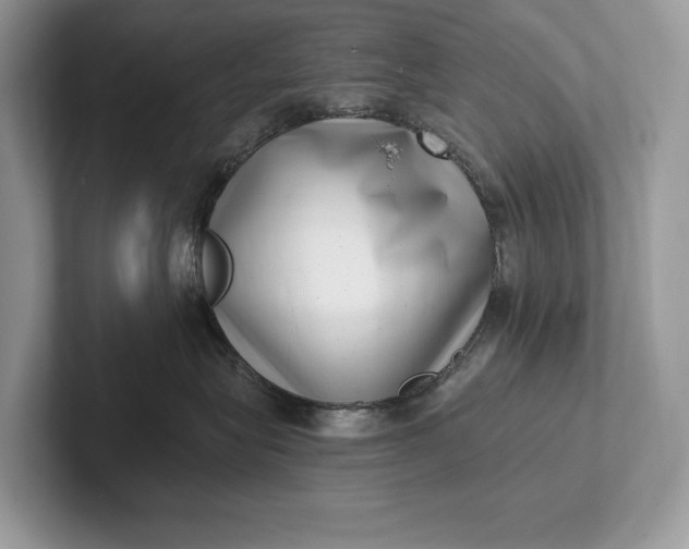 X0000101420575200807211131