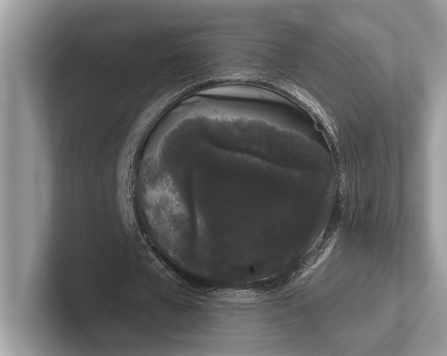 X0000101420577200807211131