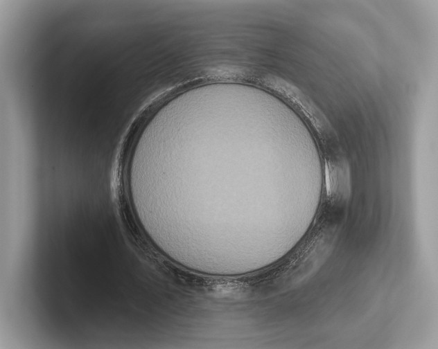 X0000101420579200807211131