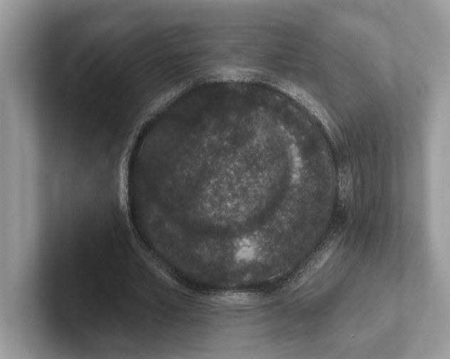 X0000101420581200807211131
