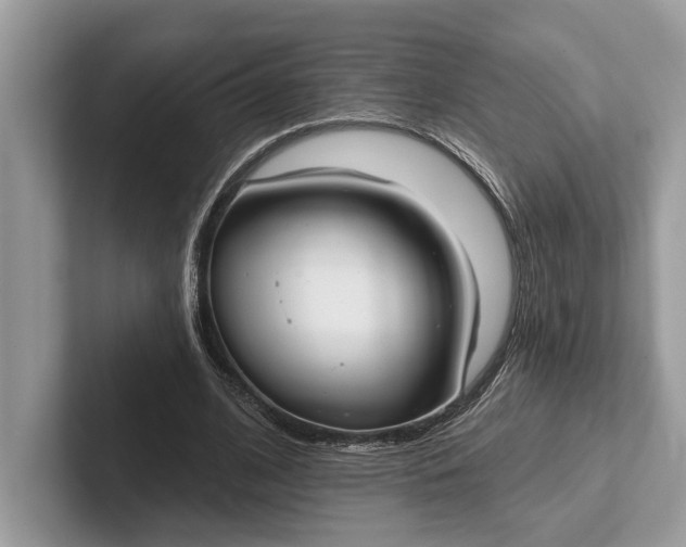 X0000101420584200807211130