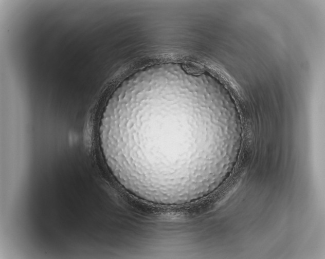 X0000101420585200807211130