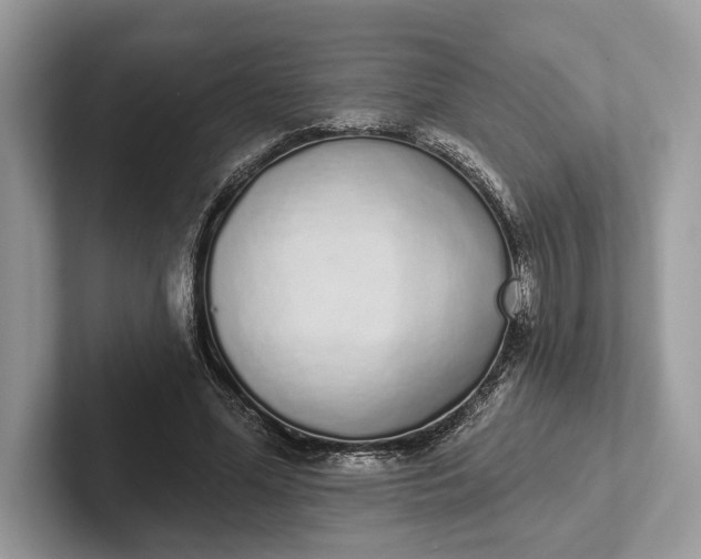 X0000101420588200807211130