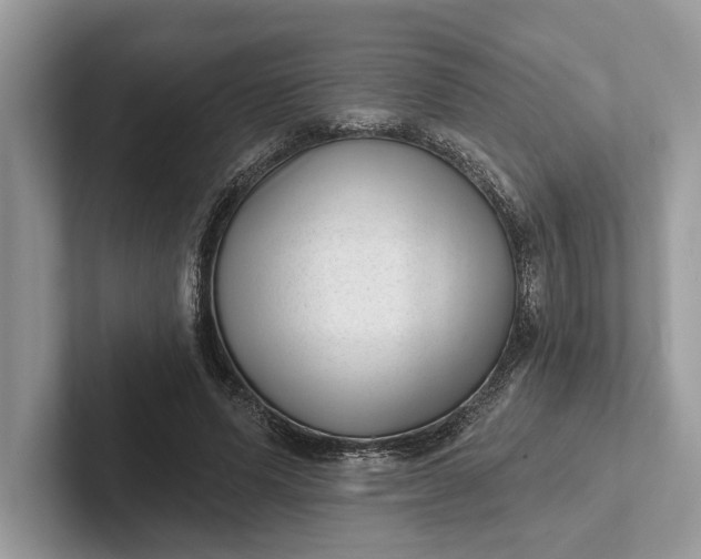 X0000101420591200807211130