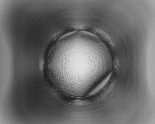 X0000101420596200807211130