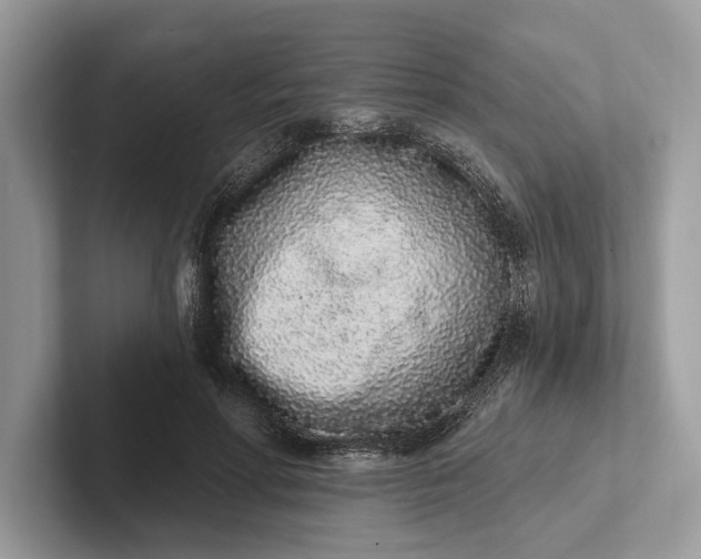 X0000101420598200807211130