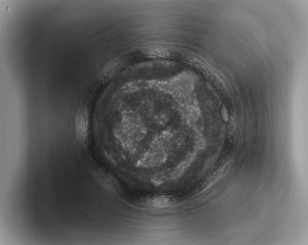 X0000101420600200807211130