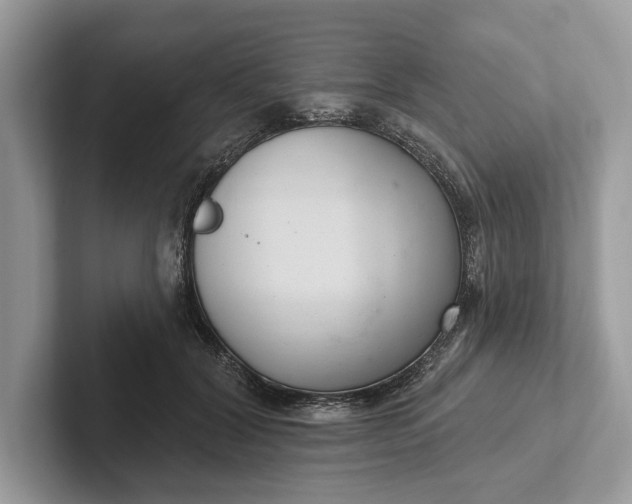 X0000101420604200807211130