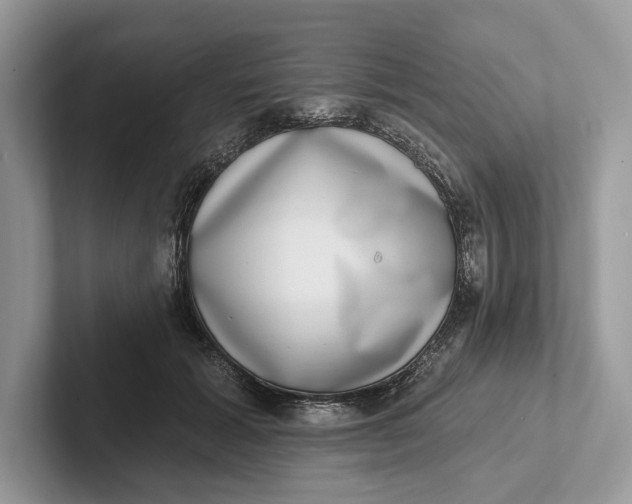 X0000101420605200807211130