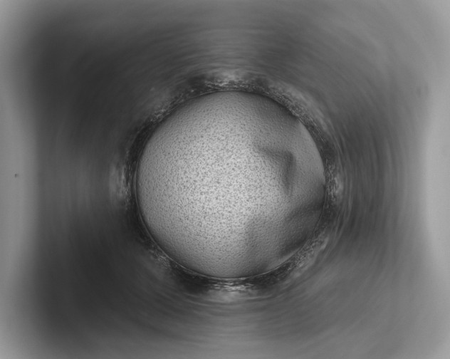 X0000101420607200807211130