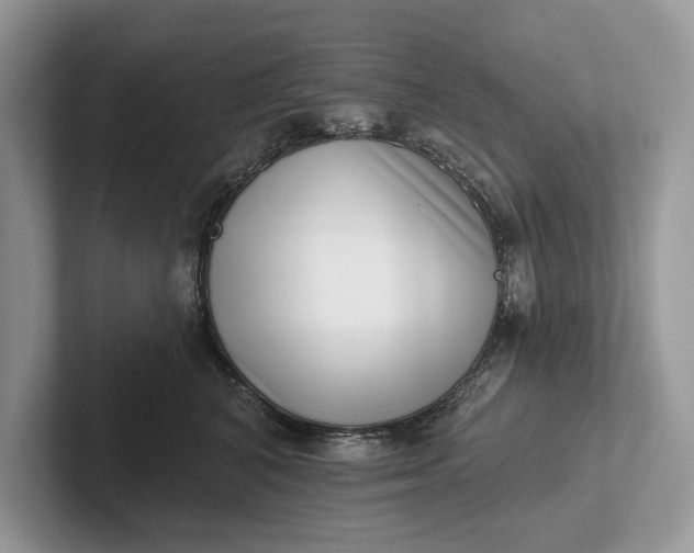 X0000101420616200807211130