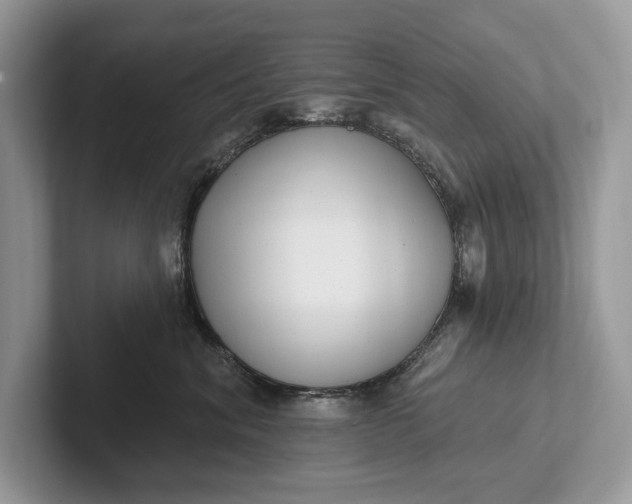 X0000101420620200807211130