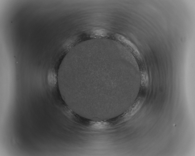 X0000101420621200807211130