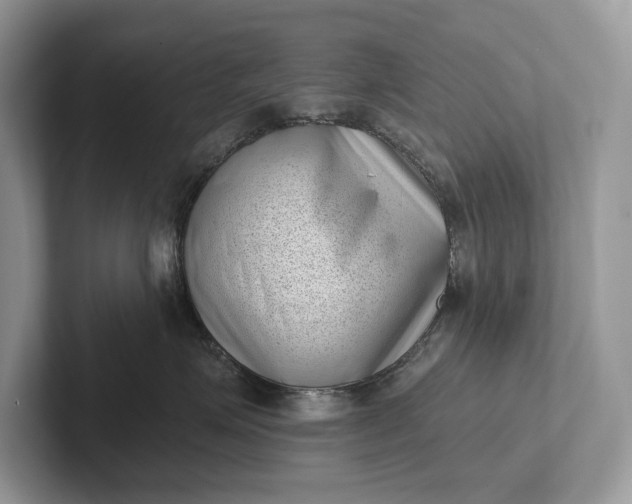X0000101420623200807211130