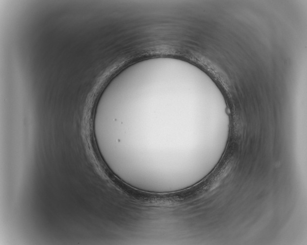 X0000101420625200807211129