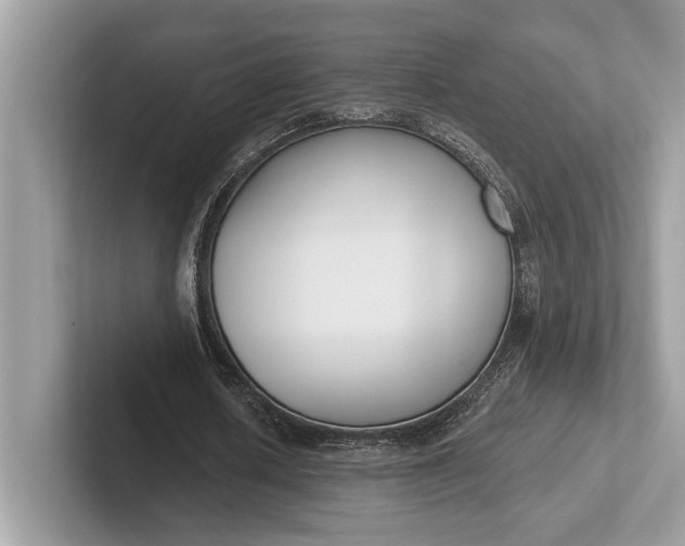X0000101420626200807211129