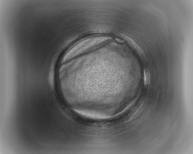 X0000101420627200807211129