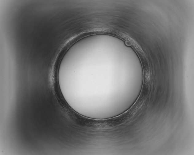 X0000101420628200807211129