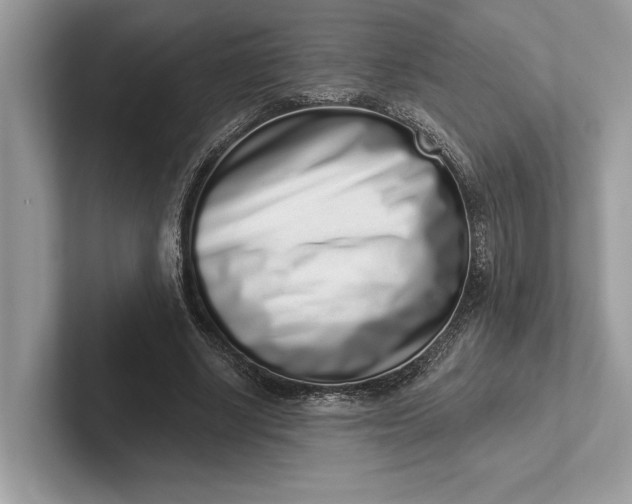 X0000101420634200807211129