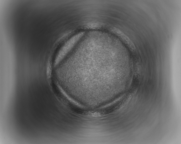 X0000101420640200807211129