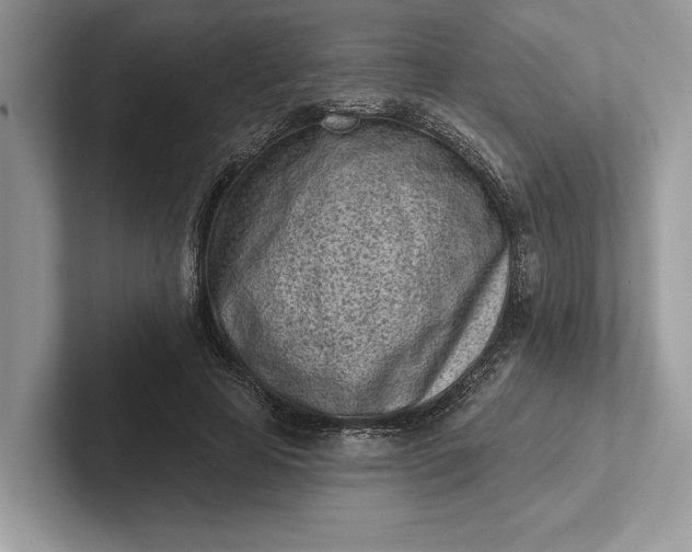 X0000101420641200807211129