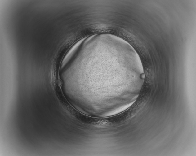 X0000101420642200807211129