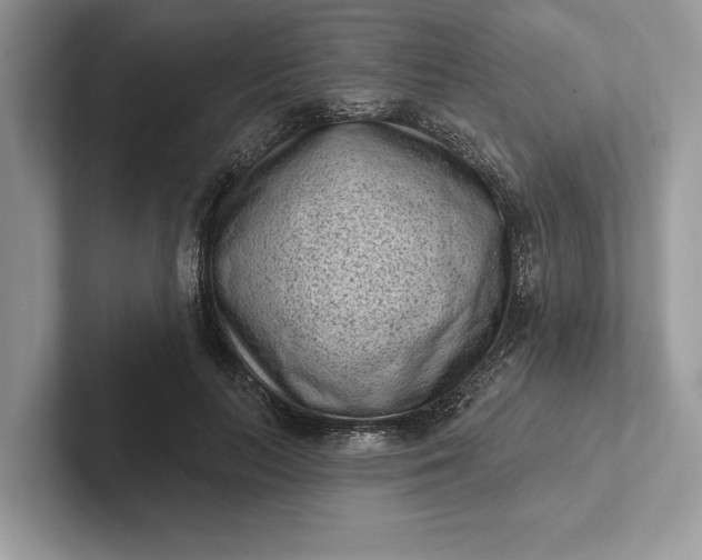 X0000101420647200807211130